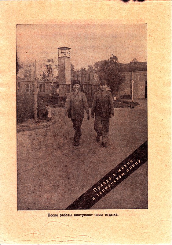 листовка Правда жизни в германском плену