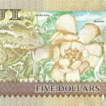 5 доллара Фиджи